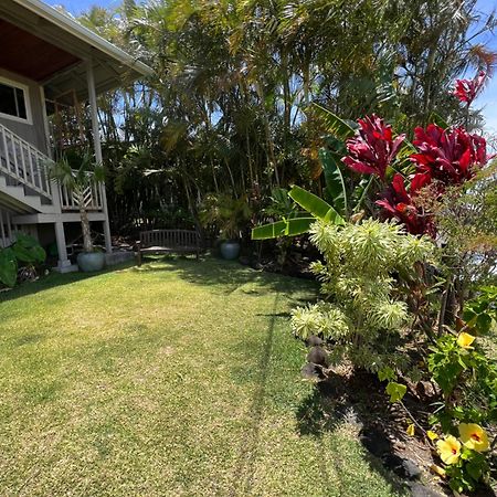 Private Ohana On The Lush Hamakua Coast With Ac Honokaa Exterior foto
