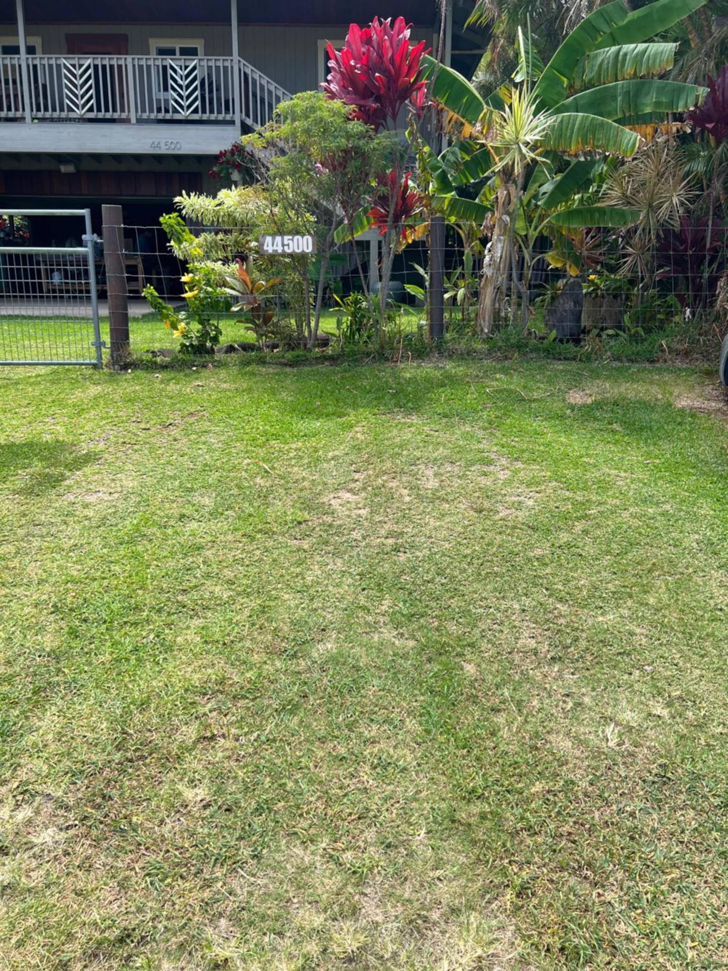Private Ohana On The Lush Hamakua Coast With Ac Honokaa Exterior foto