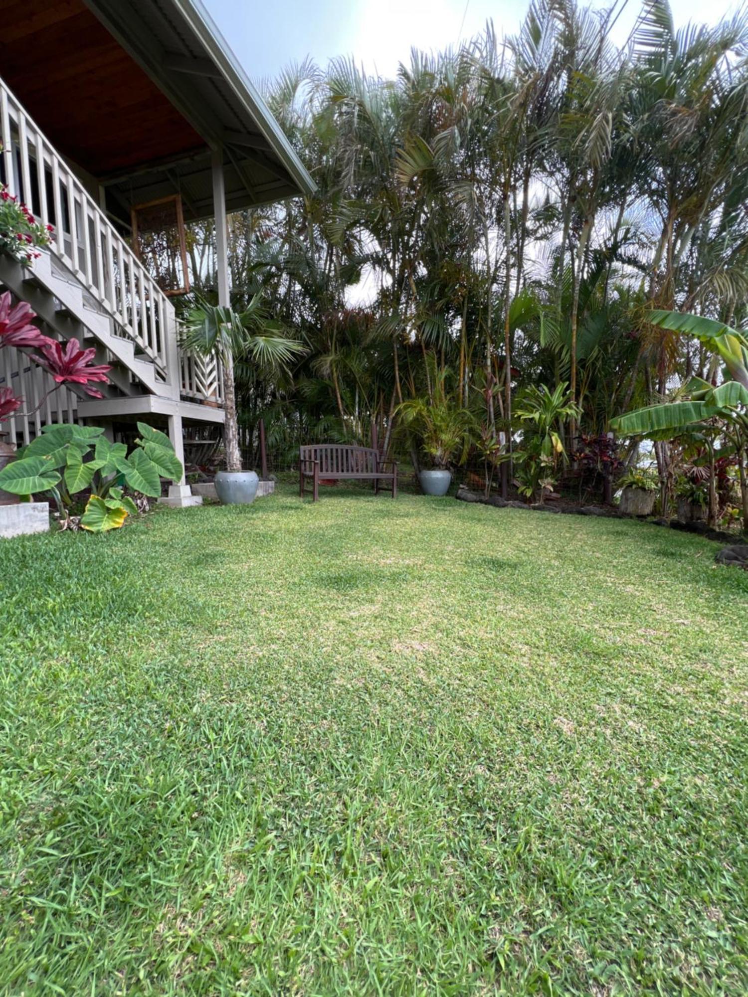 Private Ohana On The Lush Hamakua Coast With Ac Honokaa Exterior foto